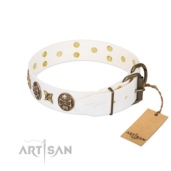 Durable D-ring on full grain leather collar for basic training your dog