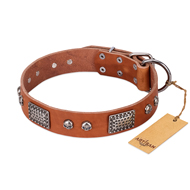"Sparkling Skull" FDT Artisan Tan Leather Great Dane Collar with Old Silver Look Plates and Skulls "Sparkling Skull" FDT Artisan Tan Leather Great Dane Collar with Old Silver Look Plates and Skulls