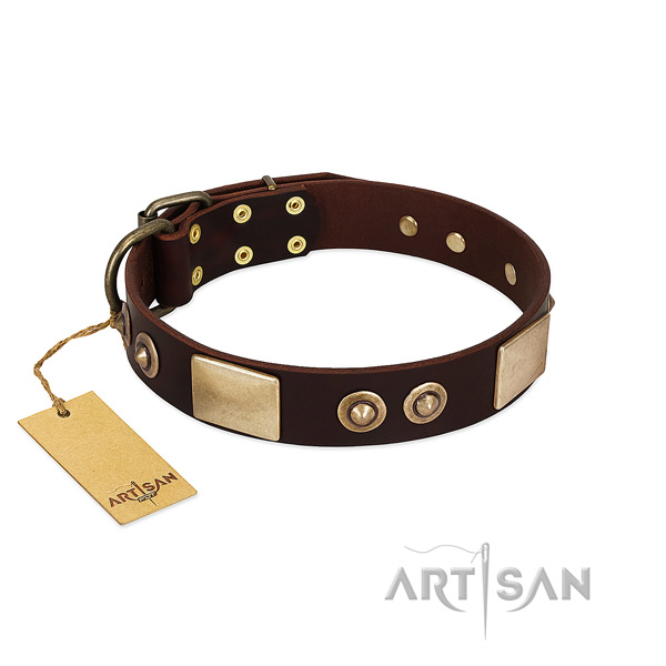 Easy adjustable full grain leather dog collar for everyday walking your pet