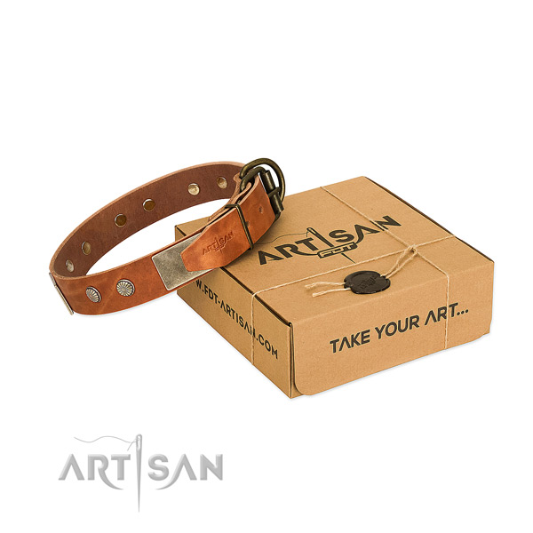 Corrosion resistant traditional buckle on dog collar for everyday use