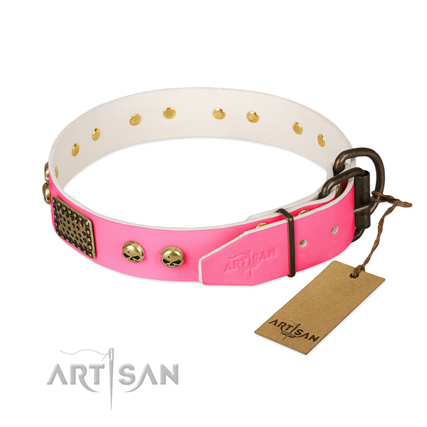 Reliable buckle on walking dog collar