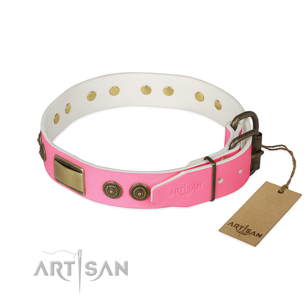Corrosion proof adornments on comfortable wearing dog collar
