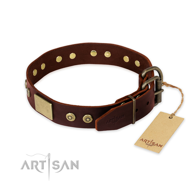 Corrosion proof adornments on comfortable wearing dog collar