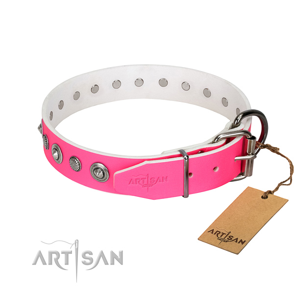 Fine quality full grain genuine leather dog collar with significant adornments