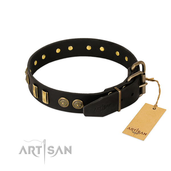 Reliable embellishments on full grain leather dog collar for your pet