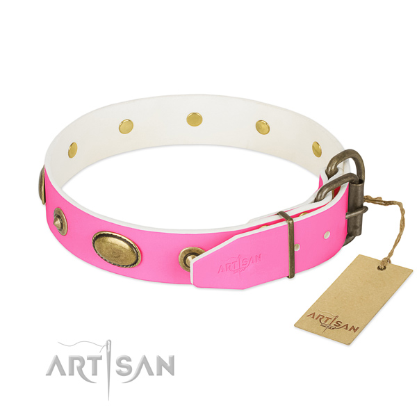 Strong traditional buckle on leather dog collar for your canine