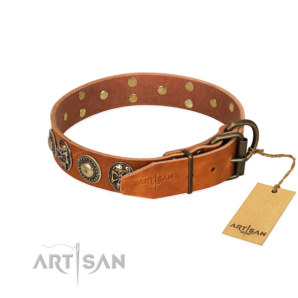Rust resistant decorations on everyday use dog collar