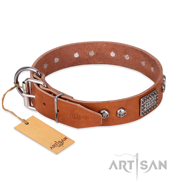 Durable traditional buckle on comfy wearing dog collar