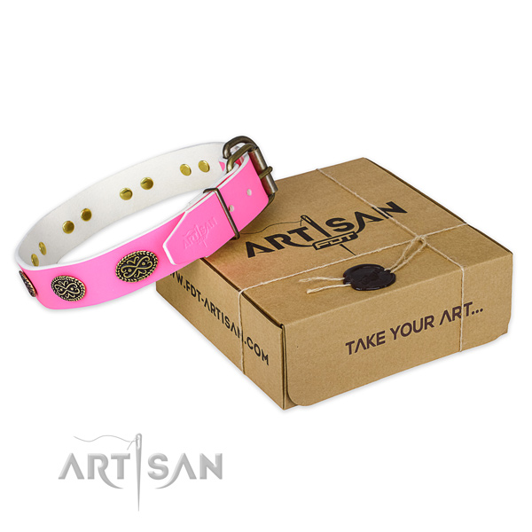 Studded full grain natural leather dog collar for everyday walking