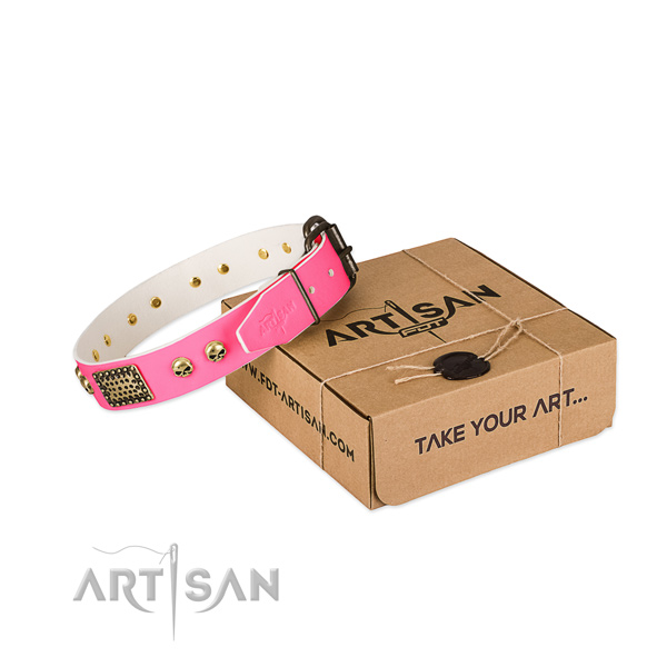 Rust resistant D-ring on dog collar for daily use
