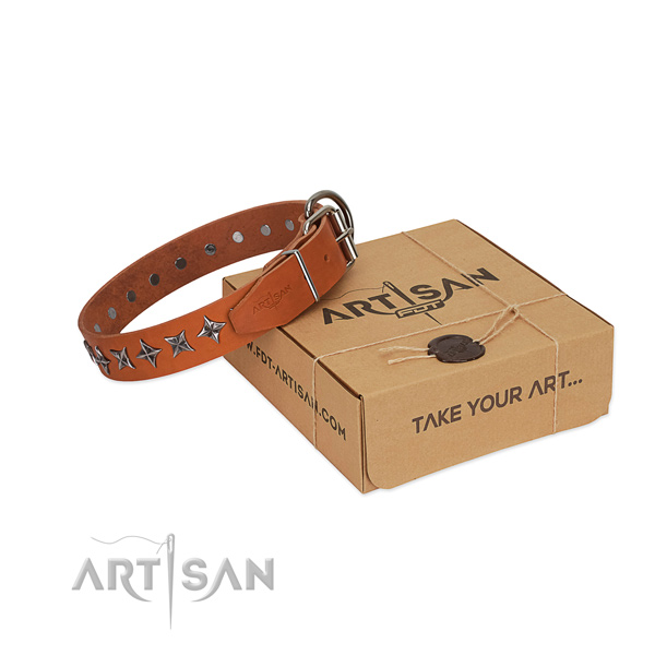 Stylish walking dog collar of fine quality full grain natural leather with embellishments