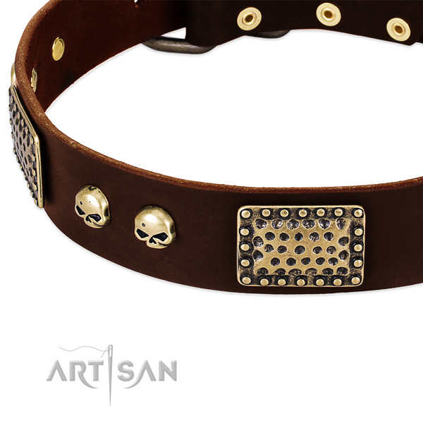 Rust-proof studs on full grain leather dog collar for your pet
