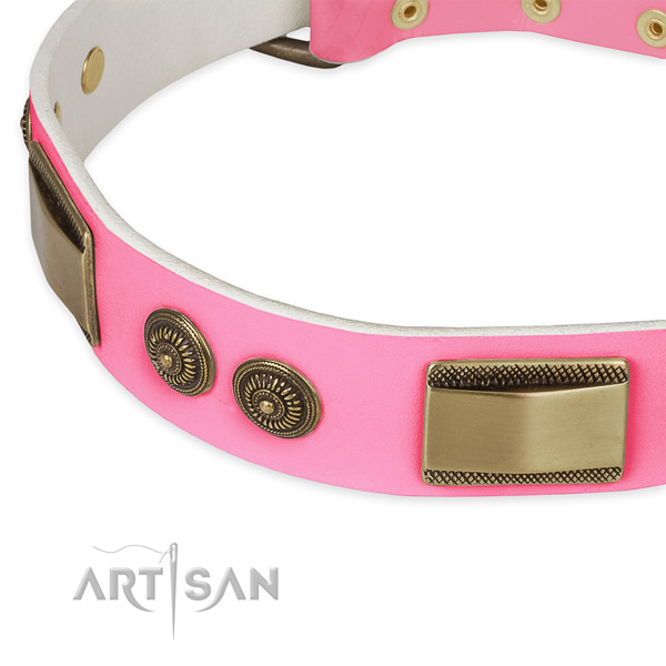 Genuine leather dog collar with embellishments for stylish walking