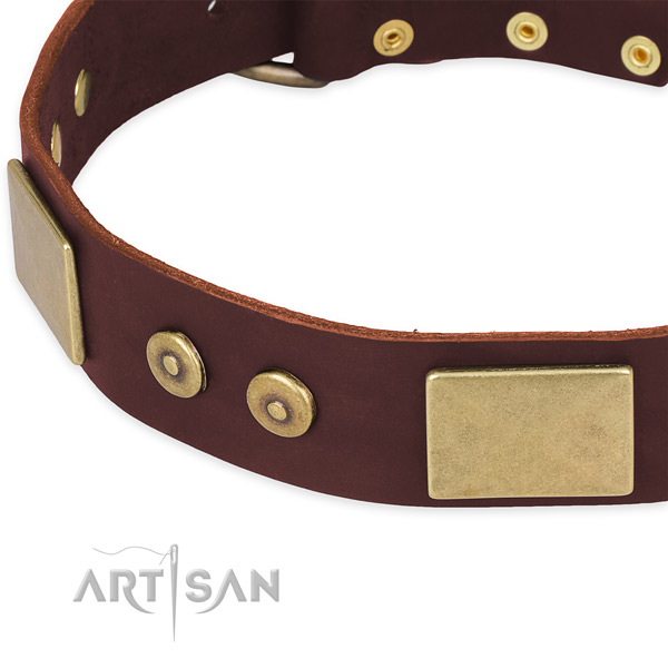 Genuine leather dog collar with embellishments for stylish walking