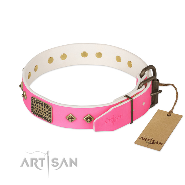Strong D-ring on daily use dog collar