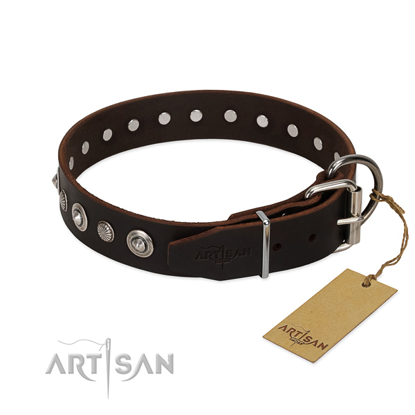 Top quality full grain natural leather dog collar with inimitable embellishments