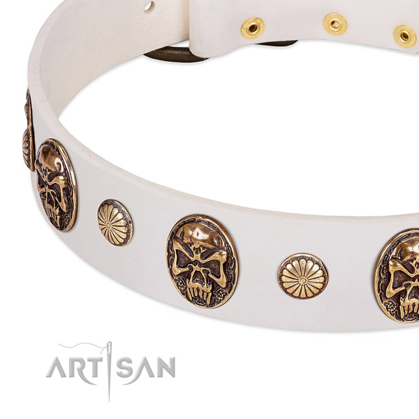 Rust-proof hardware on natural genuine leather dog collar for your canine