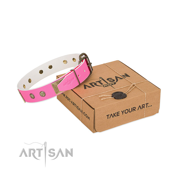 Reliable buckle on dog collar for walking