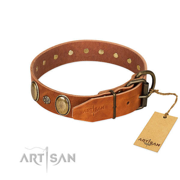 Everyday walking top rate leather dog collar