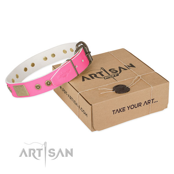Rust resistant adornments on dog collar for easy wearing
