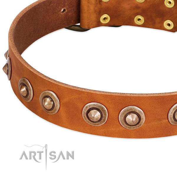 Corrosion resistant traditional buckle on genuine leather dog collar for your doggie