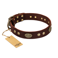 "Old-fashioned Glamor" FDT Artisan Brown Leather Great Dane Collar with Old Bronze Look Plates and Circles "Old-fashioned Glamor" FDT Artisan Brown Leather Great Dane Collar with Old Bronze Look Plates and Circles