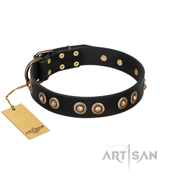 Reliable fittings on genuine leather dog collar for your doggie