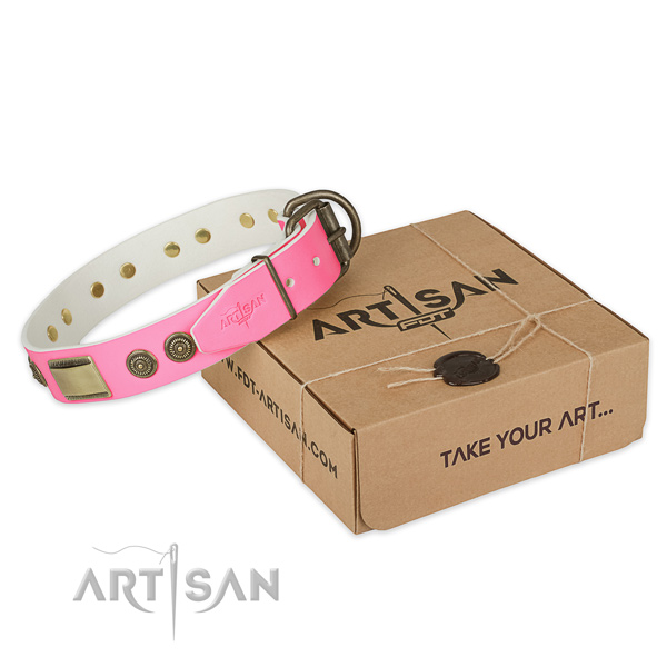 Corrosion resistant decorations on dog collar for handy use