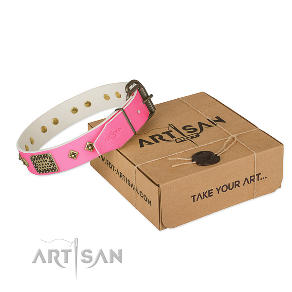 Reliable fittings on dog collar for everyday use