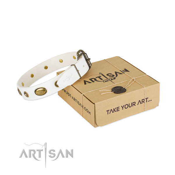 Top notch full grain genuine leather collar for your stylish four-legged friend