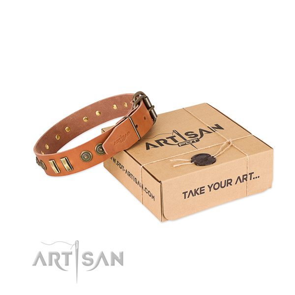 Durable adornments on full grain natural leather dog collar for your dog