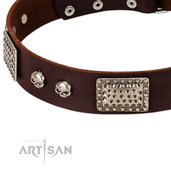 Rust resistant decorations on full grain leather dog collar for your doggie