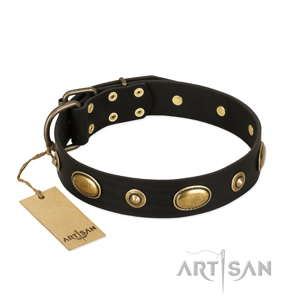 Studded full grain leather collar for your pet