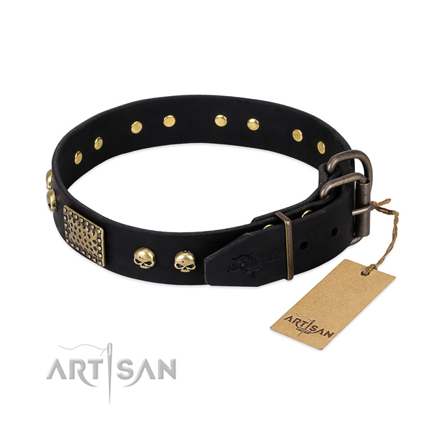 Corrosion proof hardware on daily walking dog collar