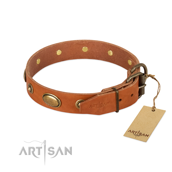 Rust resistant decorations on genuine leather dog collar for your dog