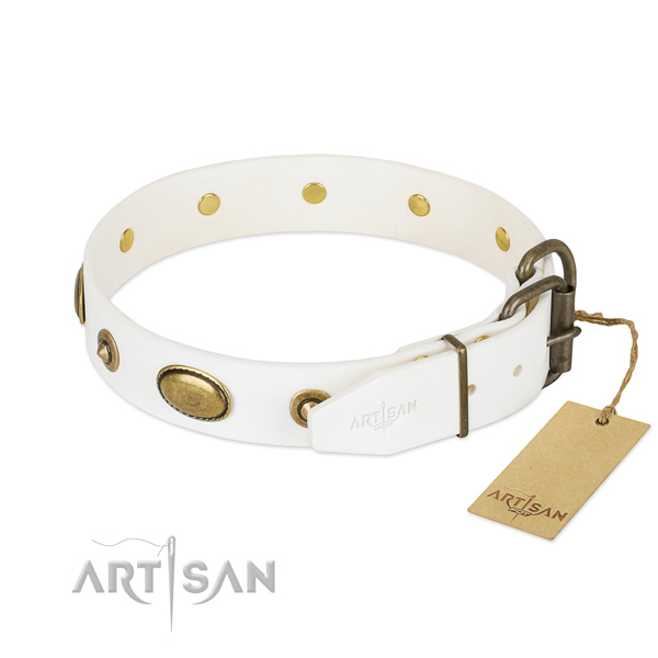 Rust-proof buckle on full grain leather dog collar for your canine