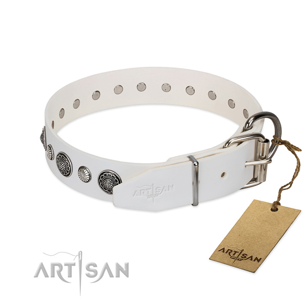 Quality natural leather dog collar with rust-proof buckle