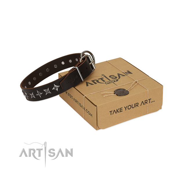 Fancy walking dog collar of strong natural leather with adornments