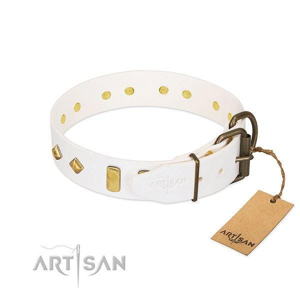 Top notch full grain leather dog collar with strong traditional buckle