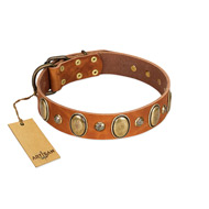 "Venus Breath" FDT Artisan Tan Leather Great Dane Collar with Vintage Looking Oval and Round Studs