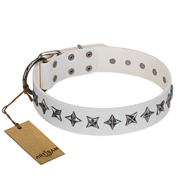 "Midnight Stars" FDT Artisan Fashionable Leather Great Dane Collar with Old Silver-like Plated Decorations "Midnight Stars" FDT Artisan Fashionable Leather Great Dane Collar with Old Silver-like Plated Decorations
