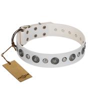 "Fluff-Stuff Beauty" FDT Artisan White Leather Great Dane Collar with Silver-like Studs and Conchos "Fluff-Stuff Beauty" FDT Artisan White Leather Great Dane Collar with Silver-like Studs and Conchos