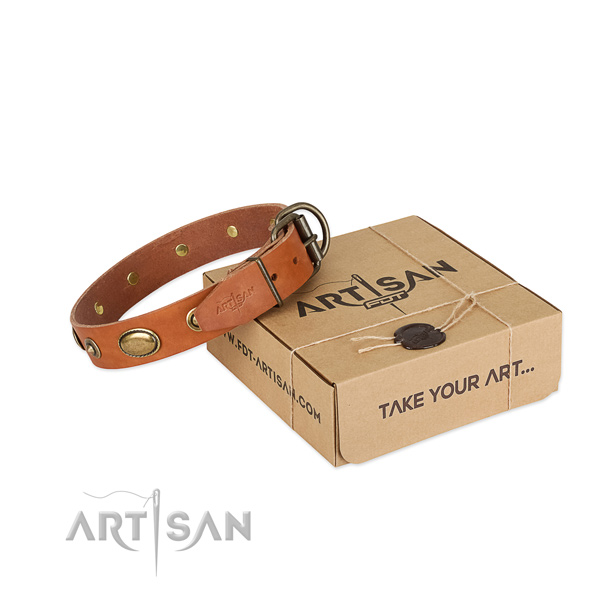 Strong traditional buckle on full grain genuine leather dog collar for your four-legged friend