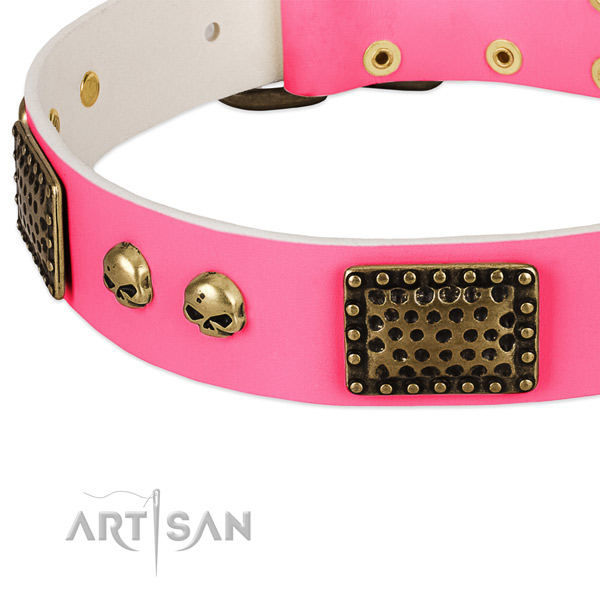 Corrosion resistant adornments on genuine leather dog collar for your four-legged friend