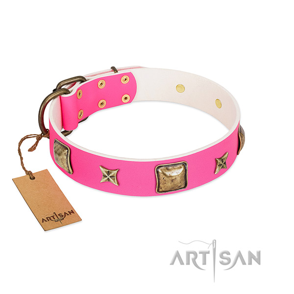 Full grain leather dog collar of gentle to touch material with extraordinary embellishments