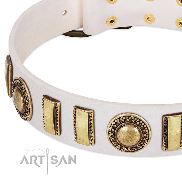 Top rate full grain genuine leather dog collar with corrosion resistant hardware