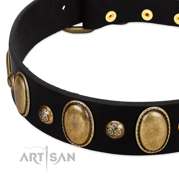 Genuine leather dog collar with exquisite studs