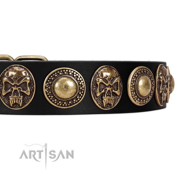Genuine leather dog collar with adornments for daily walking