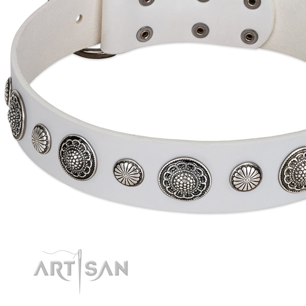 Full grain natural leather collar with corrosion resistant fittings for your lovely pet
