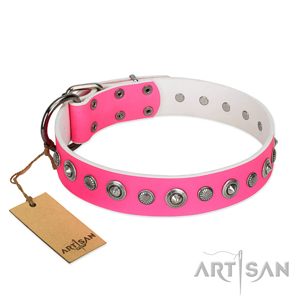 Finest quality full grain natural leather dog collar with awesome adornments